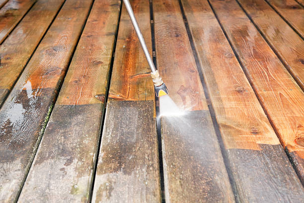 Best Building Exterior Washing  in Plains, MT